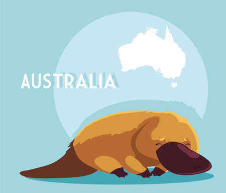 platypus with map of australia in the background vector illustration designのイラスト素材
