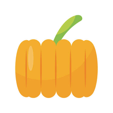 pumpkin vegetable icon over white background, flat detail style, vector illustrationのイラスト素材