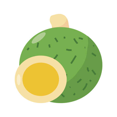 exotic vegetables icon over white background, flat detail style, vector illustrationのイラスト素材