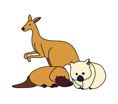 animals of australia on white background vector illustration designのイラスト素材