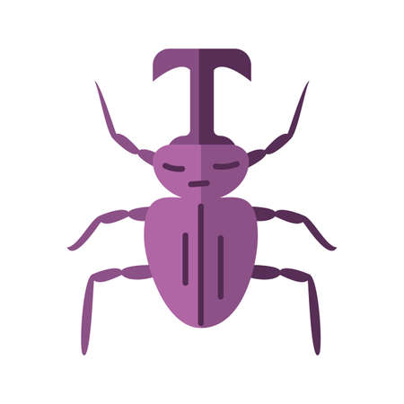 beetle icon over white background, flat style, vector illustrationのイラスト素材