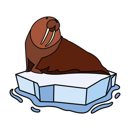 walrus on an ice floe drifting vector illustration designのイラスト素材