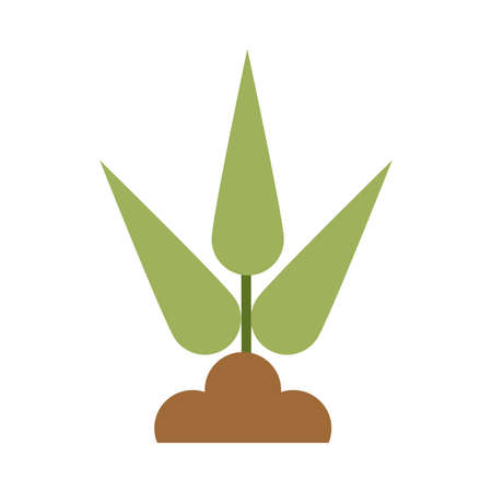 house plants planted on white background vector illustration designのイラスト素材