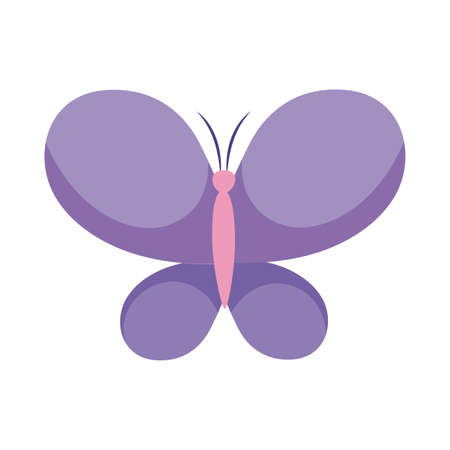 Cute butterfly flat style icon design, Insect animal wings nature summer beauty fly and spring theme Vector illustrationのイラスト素材