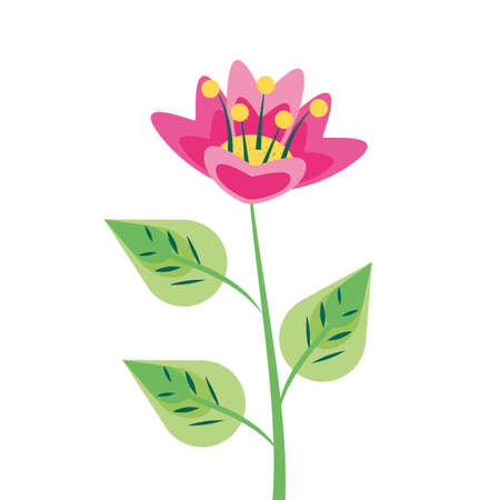 beautiful flower natural in branch and leafs vector illustration designのイラスト素材