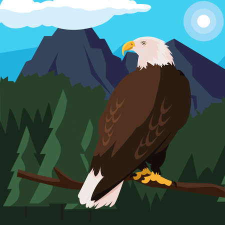 beautiful bald eagle in tree branch landscape scene vector illustration designのイラスト素材