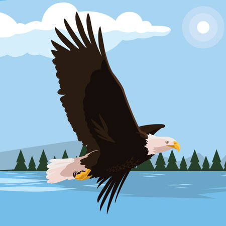 beautiful bald eagle flying in the lake scene vector illustration design