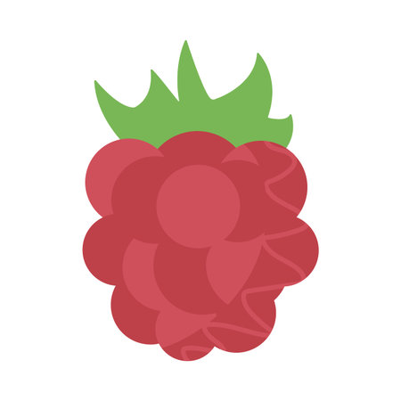 fresh and delicious grape on white background vector illustration design