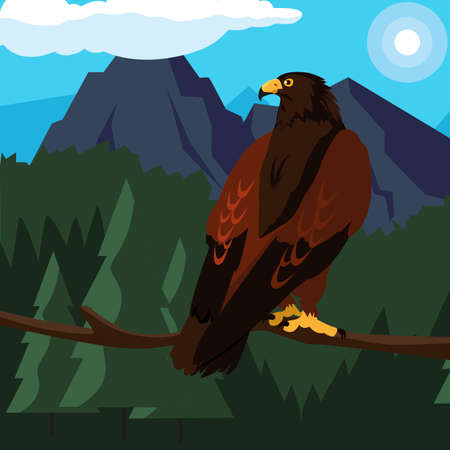 beautiful eagle in tree branch majestic bird vector illustration designの写真素材