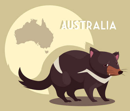 rodent with map of australia in the background vector illustration designの写真素材