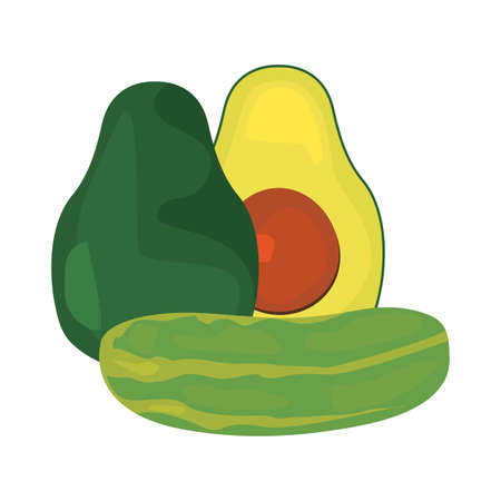 avocado cucumber fresh food vector illustration designのイラスト素材