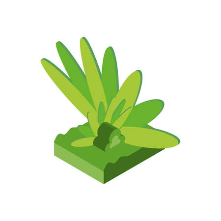 Isometric grass design, Nature element earth eco ecology conservation bio environment and outdoor theme Vector illustrationのイラスト素材