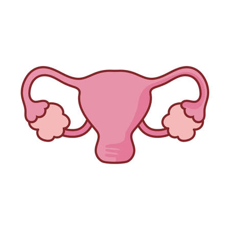 female reproductive system flat style icon design of Medical care health and emergency theme Vector illustrationのイラスト素材