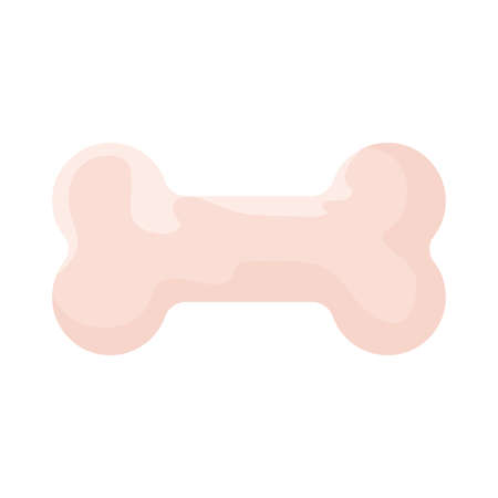 dog bone, puppy meal on white background vector illustration designのイラスト素材