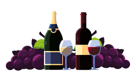 bottle and glass of wine with grapes vector illustration designのイラスト素材