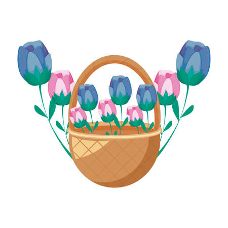 wicker basket with flowers decorated vector illustration designのイラスト素材
