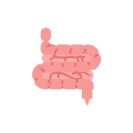 intestines icon design, Human body person people health anatomy biology and science theme Vector illustrationのイラスト素材