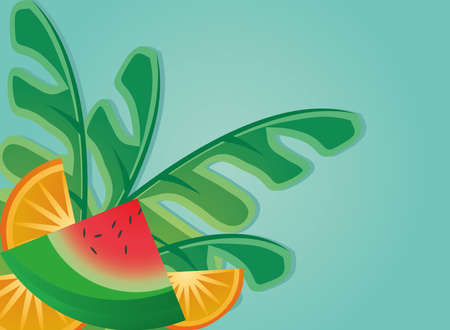 template with summer fruits and symbols of summer vector illustration designのイラスト素材
