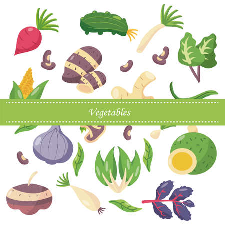 icon set of healthy vegetables over white background, flat detail style, vector illustrationのイラスト素材
