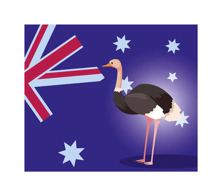 ostrich with australia flag in the background vector illustration designのイラスト素材