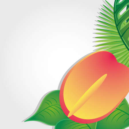 beautiful background summer flowers, template vector illustration designのイラスト素材