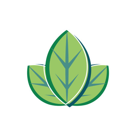 Leaves design, Plant floral garden nature decoration ornament and season theme Vector illustration