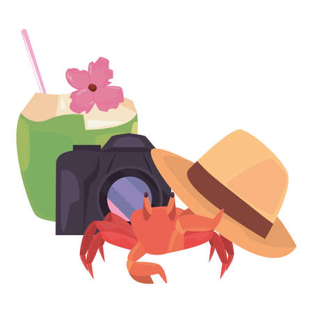 summer time holiday crab cocktail camera hat vector illustrationのイラスト素材