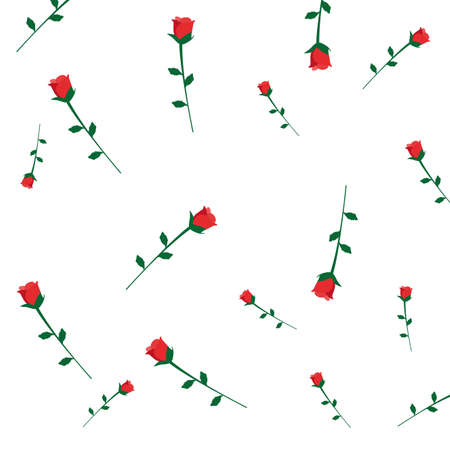 delicate flowers rose decoration white background vector illustrationのイラスト素材