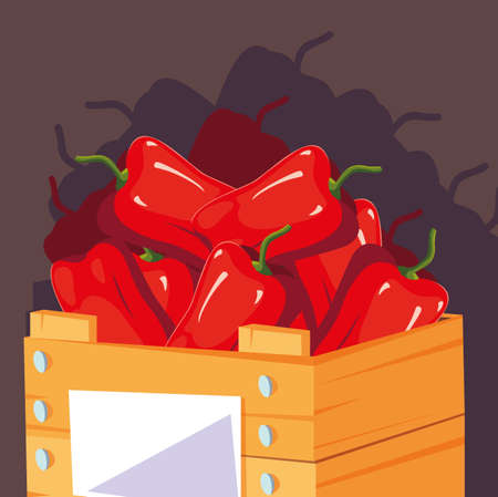 fresh red paprika vegetable in wooden crate vector illustration designのイラスト素材
