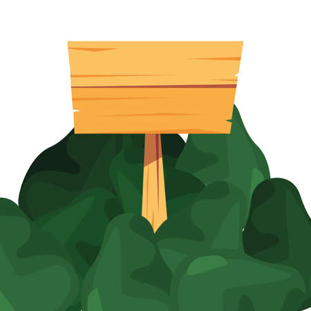 avocado fresh vegetable farm wooden placard vector illustrationのイラスト素材