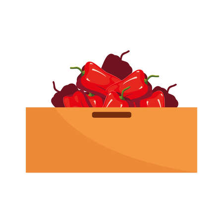supermarket box with fresh vegetable pepper vector illustrationのイラスト素材