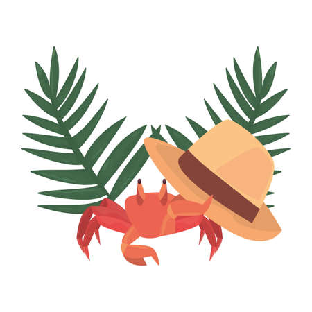 crab and hat vacations tropical summer vector illustrationのイラスト素材