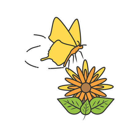 beautiful butterfly with flower isolated icon vector illustration designのイラスト素材