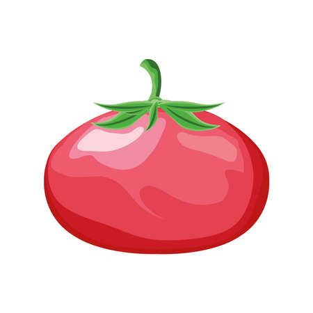 tomato fresh on white background vector illustration designのイラスト素材