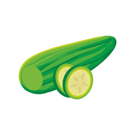 cucumber fresh on white background vector illustration designのイラスト素材