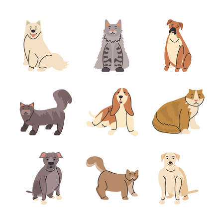 set of pets, different breeds of dogs and cats vector illustration designのイラスト素材
