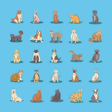 set of pets, different breeds of dogs and cats vector illustration designのイラスト素材