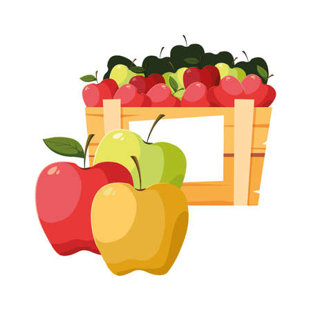 fresh fruits apples in wooden basket vector illustrationのイラスト素材