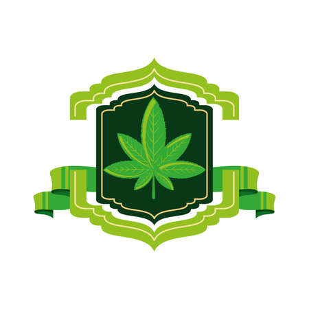 frame with cannabis leaf plant and ribbon vector illustration designのイラスト素材