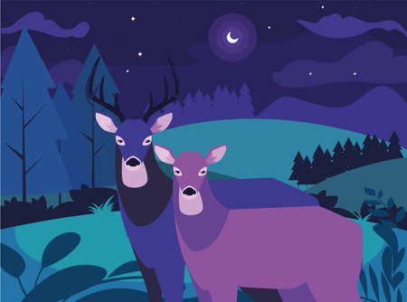 deer male and female wildlife happy autumn season night landscape vector illustrationのイラスト素材