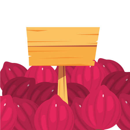 red onions fresh vegetable farm wooden placard vector illustrationのイラスト素材