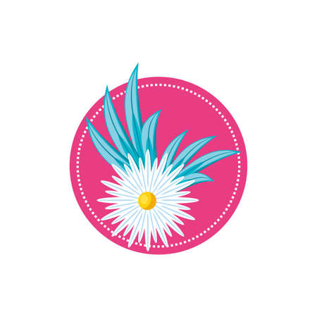 Flower design, floral nature plant ornament garden decoration and botany theme Vector illustrationのイラスト素材