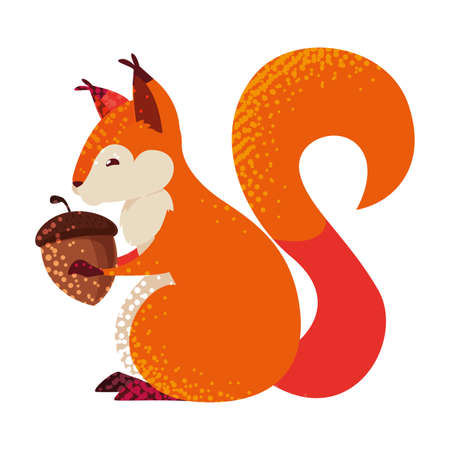 squirrel acorn happy autumn season vector illustrationのイラスト素材
