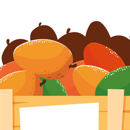 fresh fruits mangoes in wooden basket vector illustrationのイラスト素材
