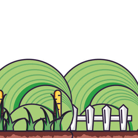 plantation corn natural isolated icon vector illustration designのイラスト素材