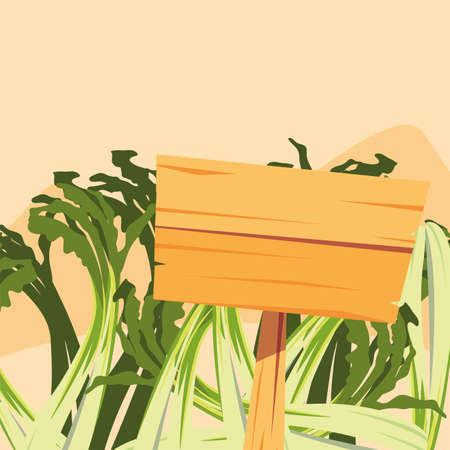 scallion fresh vegetable farm wooden placard vector illustrationのイラスト素材
