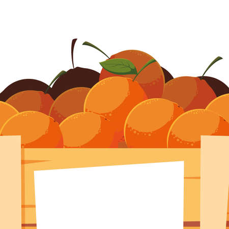 fresh fruits in wooden basket oranges vector illustrationのイラスト素材