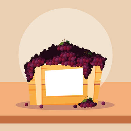 fresh grapes fruits in wooden crate vector illustration designのイラスト素材
