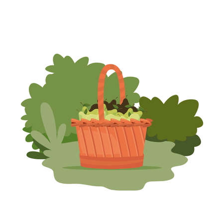 pears fresh fruits in wooden basket vector illustrationのイラスト素材