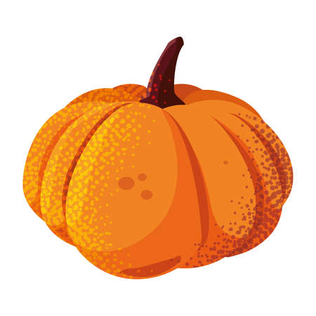 happy autumn season pumpkin on white background vector illustrationのイラスト素材